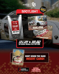 ���\��TARMAC CARDS SPOTLIGHT LB-KAIDO WORKS R32 SKYLINE FLYING DRAGON ��