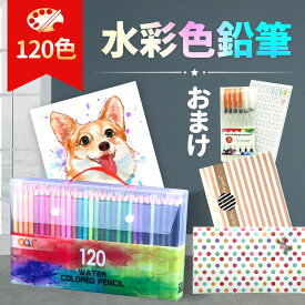 水彩色鉛筆 120色 アートセット 大人の塗り絵 ファーバーカステル 文房具 色鉛筆 お絵かきセット お絵描きセット 絵の具セット 入学祝い 子供 プレゼント ギフト 入学 新学期 夏休み 小学生 文具 ぬり絵 デッサン 画材 gkk50