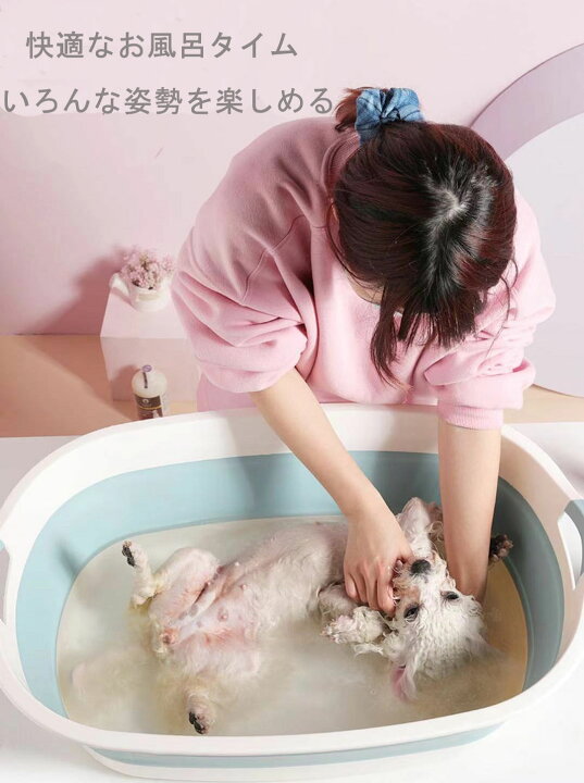 楽天市場 ペットバス ペット バスタブ 折りたたみ 犬バスタブ ペットバスタブ たらい 犬のお風呂 犬用バスタブ ペット用バスタブ ドッグバス 折りたたみバスタブ 猫のお風呂 ドッグバスタブ ソフトタブ 洗い桶 バスペット ソフトバスタブ 洗濯カゴ 折り畳み バケツ 楽天市場 ペットバス ペット バスタブ 折りたたみ 犬バスタブ ペットバスタブ たらい 犬のお風呂 犬用バスタブ ペット用バスタブ ドッグバス 折りたたみバスタブ 猫のお風呂 ドッグバスタブ ソフトタブ 洗い桶 バスペット ソフトバスタブ 洗濯カゴ 折り畳み バケツ