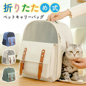 ybgL[obO ܂肽 傫 bN ybgL[ obN ybgobO Lp p ybgpi ^ ^ g~O h ʉ@ a@ hCu p bV y 