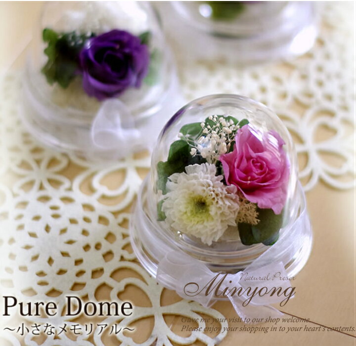 楽天市場 お供え花 仏花 ピュアドーム ２個以上送料無料 プリザーブドフラワー お盆 初盆 ペットのお供え にも お彼岸 お悔やみ フラワー花 ドーム ミニドーム 仏壇 埃かぶらない ナチュラルプリザminyong