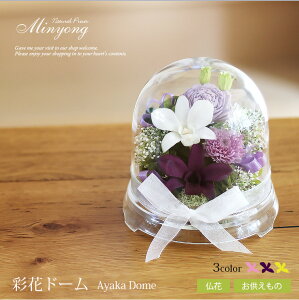   uʉԃh[v vU[uht[  ފ ~ ~ hV̓ ̓ ̓ ybĝɂ