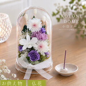 ���� �������� �w�����h�[��kotone�x���~ �䋟 �h�[�� ���~ �h�V�̓� ���ފ� 1�΂��� �v���U�[�u�h�t�����[ ���d�@������� ��؂ȕ��̂��ʐ^�̑O��