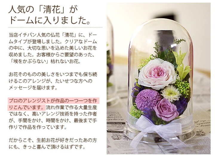 楽天市場 仏花 お供え 清花ドーム プリザーブドフラワー お悔やみ お彼岸 敬老の日 お盆 初盆 大切な写真 フレームの前に 仏壇 お供え花 ナチュラルプリザminyong