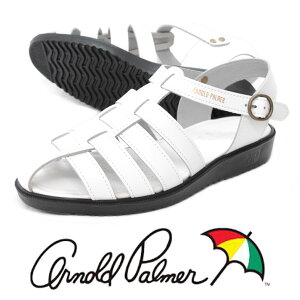 yԉ^]zy݌ɂzY {v OJT_ { rWlXT_ A[mhp[}[ AP 6611 zCg  V ARNOLD PALMER hCo[T_  Ȃ ʋC SALE 