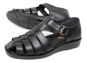 Y {v JT_ { rWlXT_ A[mhp[}[ AP 6621 ubN  JE^[t OJT_  hCrOV[Y 