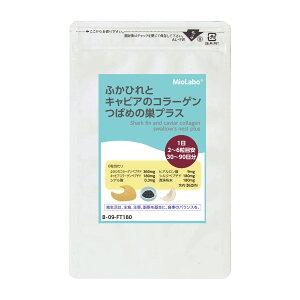 ӂЂƃLrÃR[Q ΂߂̑vXya9mm݂̈₷^Cvz qA_ VNyv`h ^얖 VA_  邨 vv A`GCWO n c ^