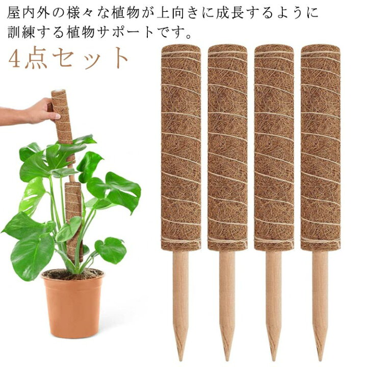 楽天市場】 4点セット 園芸支柱 ココスティック 観葉植物 長さ30cm 