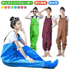 ނ |Pbg EF[_[  h `FXgnC k Cނ cA Y  NX ƕ `FXgnCEF[_[ C n | _ d