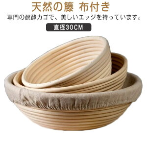 y   Rv^  30cm yJS z I[o  oXPbg py pp ƒp ŖQ  p p蓹