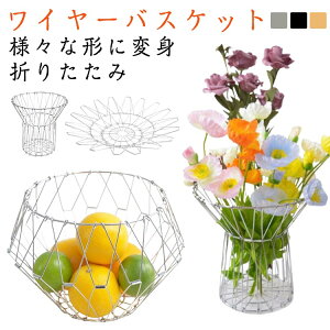 XeX ό`\ C[oXPbg ܂肽 t[coXPbg oXPbg  [֗ t[c{E fBXvC C[{E ʕ t[cgC C[{