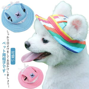 Lbv p oCU[ ˕a ybgp p hbOnbg  MǑ΍ 悯  Εt nbg ^ ^ Lp 蕨 AEghA o Xq