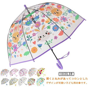 JP ~J΍ qP ǂp P LN^[  8{ ۈ牀 ϕ  h[^ j̎q ̎q w  y ct ۈ牀 rj[P