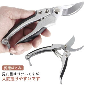 剪定ばさみ 園芸ハサミ 農業 女性 庭 枝切りはさみ 農作業 家庭菜園 用具 工具 収穫 芽切 ハサミ はさみ 握りやすい 剪定 エダ 木 生花 ガーデン 庭木 畑 野菜 園芸 園芸ばさみ ガーデニング