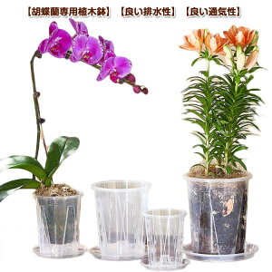 ^ ̔ Mt Ӓ̐Aւ Ӓp Aؔ ʋC rt a10cm a12cm h~ a14cm a16cm vX`bN   ϗtA̔ NA 