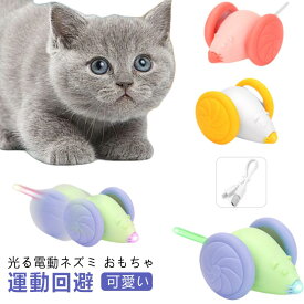 猫 おもちゃ ねずみ 電動 自動 一人遊び ネズミ ネコ ねこ おもちゃ 電動ネズミ 可愛い 猫じゃらし 玩具 自動走行 マウス玩具 キャットおもちゃ 猫遊び 電動おもちゃ USB充電 コンパクト 運動不足 ストレス解消 発散 猫用おもちゃ かわいい 送料無料
