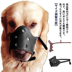  p}Y ߂ ߉\ ^ Ƌjh~ ^ Ppi PUU[ ʖih~ ݕȑ΍ rߖh~ ݂h~ EHh~ ^