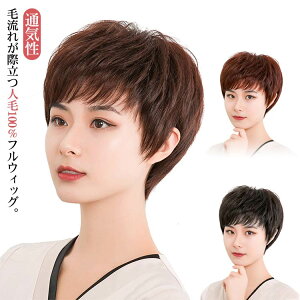 l100%  R  l fB[X   V[g  lуEBbO {u ECbO V[gwA ×pEBbO ×p j tEBbO ~ZX ig R E