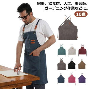 Gv Gv fj Gv fB[X LoX Vv  [NGv n Ɨp Y h jp ̓ v[g Mtg JtFGv wZ  