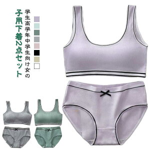 V[c u l K[Y fB[X 2_Zbg WjAZbg  pbht  Jbvt ̎q Ci[ uW[ pc A_[EFA X|[cu n w