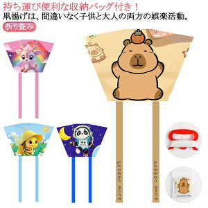 折り畳み カイト 凧揚げ ポケットサイズ 紙鳶 骨なし 凧 カイト 長尾 折りたたみ 凧 凧揚げ タコ揚げ 携帯凧 ポケットカイト 骨なし カイト 凧上げ 折りたたみ 軽量 軽い 骨なしカイト 凧あげ