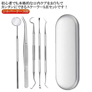 P[Xt f^PA j  XP[[   5_Zbg ɍ Ύ v[N   p XeX 5_ f^c[ oPA XP[[ h