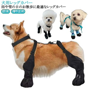 h pbOJo[ TXy_[t Cpc ی ~ pu[c  EȂ ̌C Ol{pc  h~ ~J U ߉\ o EȂ M