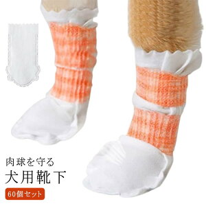 ̌C ybg _炩  hbOu[c pC 60Zbg U sDz C h~ Jo[ ی Jo[ C ho h ybgC ی ̃V[Y ̌C ĝău[c PK