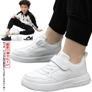 }WbNe[v LbY h ɂ w Xj[J[ j̎q w C j ̎q ʊwC ₷  y h w wZ WjA ^ qC ^C