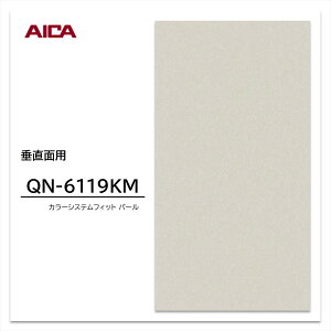 �A�C�J �����~�����ϔ� �J���[�V�X�e���t�B�b�g QN-6119KM 4×8 0.95mm 1230×2450mm �P�F �p�[�� ���L��