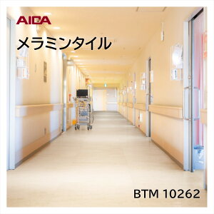 �A�C�J �����~���^�C�� �T���h�����h BTM10262 450×450mm ����3mm 14���� ���� �ω׏d �ϖ�i �ό� �σS������ ���b�N�X�s�v �����e�i���X�ȒP �ʎ�Ȃ�