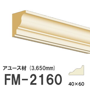 tW}` FM-2160 [fBO VR A[X ؐ p hi  3650mm TCY 40×60mm
