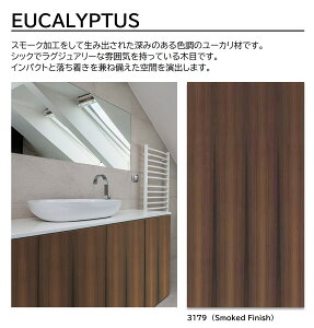 ACJ vX_[ EUCALYPTUS 1 4×8 0.95mm 1200×2400mm +WONDER ~ϔ ؖ WOOD ySmoked Finish | W-3179KQ98zy󒍐Yz