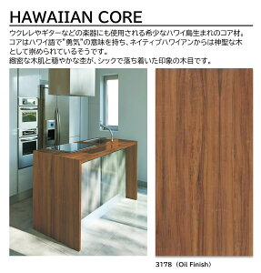 ACJ vX_[ HAWAIIAN CORE 1 4×8 0.95mm 1200×2400mm +WONDER ~ϔ ؖ WOOD yOil Finish | W-3178KQ98zy󒍐Yz