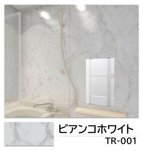 gbp pl  1.0mm 910×2400mm  ǖ J^{H ȈՎ{H tH[ ABSA ItBʃpl {Hޕt