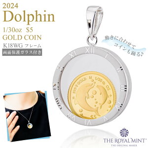  1/30IX Dolphin CJ eq RC  y_ggbv 2024N movin' coin y_ggbv 2024N 1100N̗jpǐiۏ؏t ʕیKX NbN