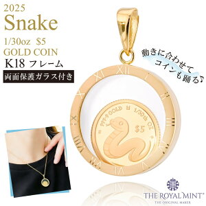  1/30IX Snake x  ւ  RC  y_ggbv 2025N movin'coin y_ggbv 1100N̗jpǐiۏ؏t ʕیKX NbN{