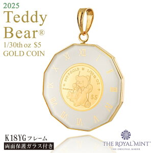  1/30IX Teddy Bear efBxA uR RC  12pvg یKXt y_ggbv 2025N 1100N̗jpǐiۏ؏t NbN{sj