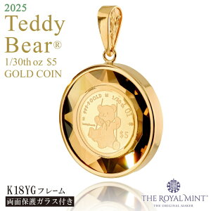  1/30IX Teddy Bear efBxA uR RC  ʕیJbgKX 2025N 1100N̗jpǐiۏ؏t NbN{sj[W[hh C