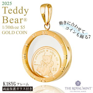  1/30IX Teddy Bear efBxA uR RC  y_ggbv 2025N movin' coin 1100N̗jpǐiۏ؏t ʕیKX NbN{sj