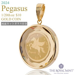  1/20IX yKTX pegasus n RC  y_ggbv 2024N 1100N̗jpǐiۏ؏t ʕیJbgKX NbN{sj[W[hh