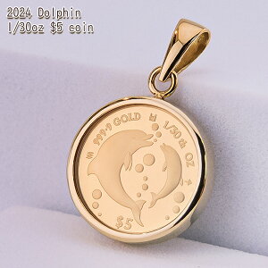  1/30IX Dolphin CJ eq RC  y_ggbv 2024N 1100N̗jpǐiۏ؏t ʕیKX NbN{sj[W[hh 