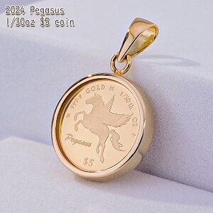  1/30IX Pegasus yKTX eq RC  y_ggbv 2024N 1100N̗jpǐiۏ؏t ʕیKX NbN{sj[W[hh 