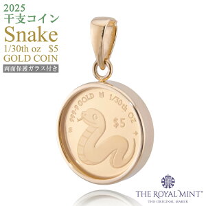 1/20IX Snake x  ւ  RC  ʕیKX y_ggbv 2025N 1100N̗jpǐiۏ؏t NbN{sj[W[hh 