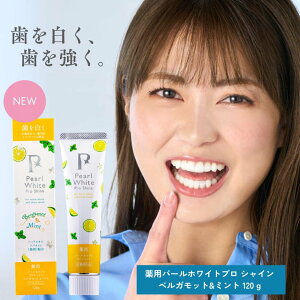 yzpp[zCgvVC xKbg~g (120g) 1{ 򕔊Oi zCgjO |_igEz ܕsgp F XeC j  