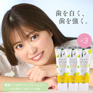 yzpp[zCgvVC BM 40g 3{Zbg | xKbg&~g zCgjOWF ̕Y  ݂͂ n~KL F XeC \h a\h 