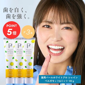 yzpp[zCgvVC xKbg~g (120g) 3{ 򕔊Oi zCgjO |_igEz ܕsgp F XeC j  