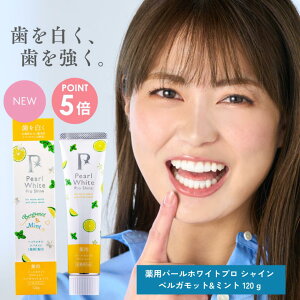 yzpp[zCgvVC xKbg~g (120g) 1{ 򕔊Oi zCgjO |_igEz ܕsgp F XeC j  