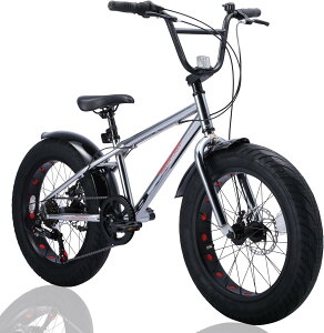 Discovery Adventures (ディスカバリー アドベンチャーズ) ファットバイク Fat City Cruiser BMX 自転車 シティ ビーチクルーザー フリースタイル 街乗り 20インチ サイドスタンド ディスクブレーキ