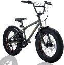 Discovery Adventures (ディスカバリー アドベンチャーズ) ファットバイク Fat City Cruiser BMX 自転車 シティ ビー…